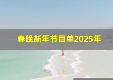 春晚新年节目单2025年