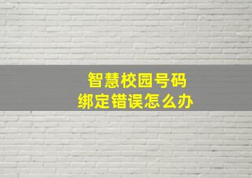 智慧校园号码绑定错误怎么办