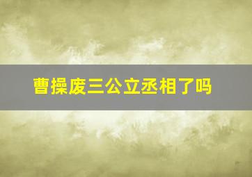 曹操废三公立丞相了吗