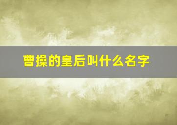 曹操的皇后叫什么名字