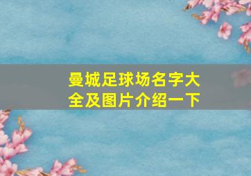 曼城足球场名字大全及图片介绍一下