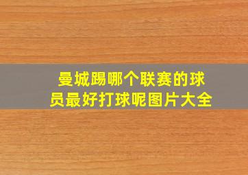 曼城踢哪个联赛的球员最好打球呢图片大全