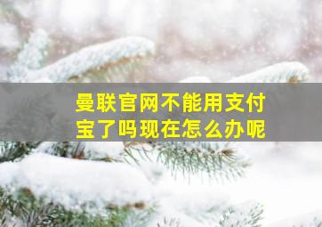 曼联官网不能用支付宝了吗现在怎么办呢