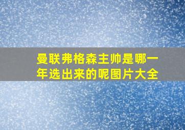 曼联弗格森主帅是哪一年选出来的呢图片大全