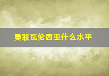 曼联瓦伦西亚什么水平