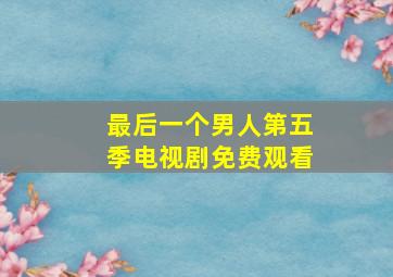 最后一个男人第五季电视剧免费观看