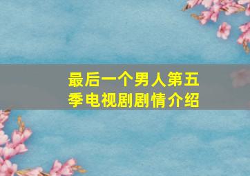 最后一个男人第五季电视剧剧情介绍