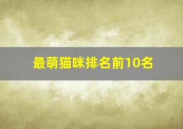 最萌猫咪排名前10名