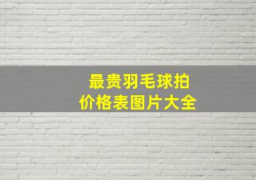 最贵羽毛球拍价格表图片大全