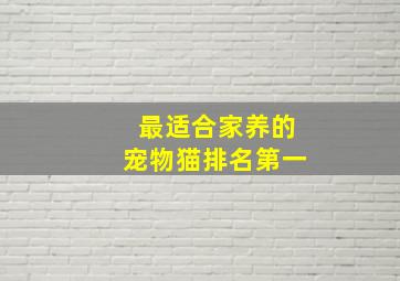 最适合家养的宠物猫排名第一