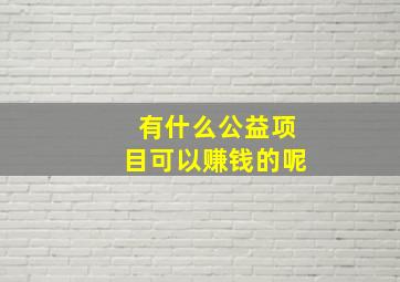 有什么公益项目可以赚钱的呢