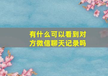 有什么可以看到对方微信聊天记录吗