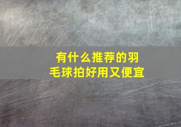 有什么推荐的羽毛球拍好用又便宜