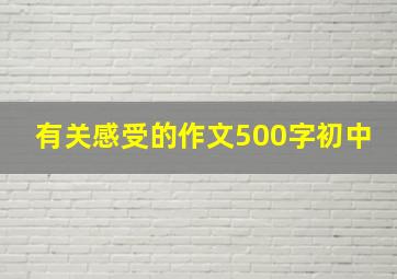 有关感受的作文500字初中