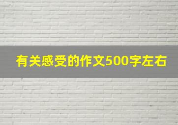 有关感受的作文500字左右