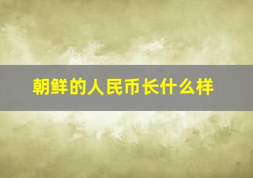 朝鲜的人民币长什么样