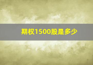 期权1500股是多少