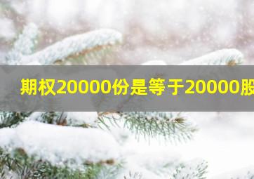 期权20000份是等于20000股么