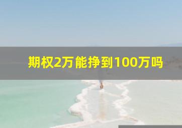 期权2万能挣到100万吗