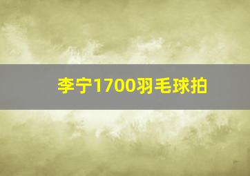 李宁1700羽毛球拍