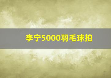 李宁5000羽毛球拍