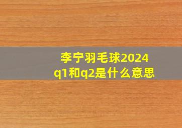 李宁羽毛球2024q1和q2是什么意思