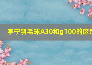 李宁羽毛球A30和g100的区别