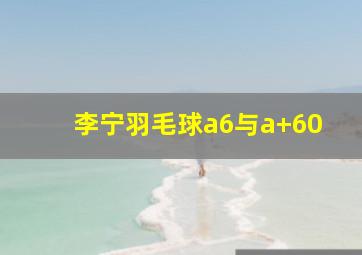 李宁羽毛球a6与a+60