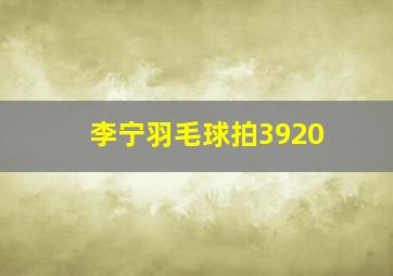 李宁羽毛球拍3920