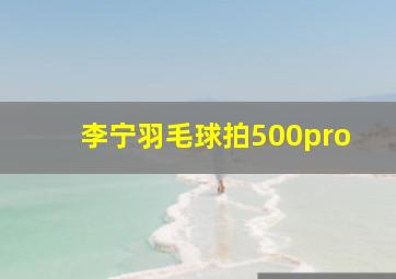 李宁羽毛球拍500pro