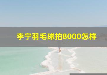 李宁羽毛球拍8000怎样