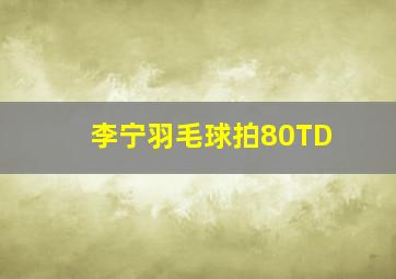 李宁羽毛球拍80TD