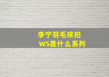 李宁羽毛球拍WS是什么系列