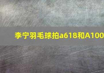 李宁羽毛球拍a618和A100