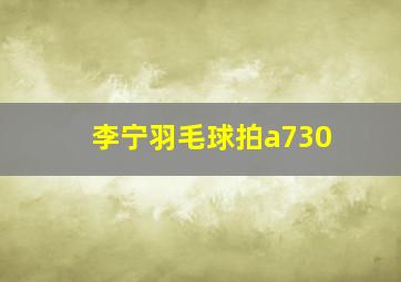 李宁羽毛球拍a730