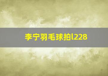 李宁羽毛球拍l228