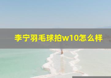 李宁羽毛球拍w10怎么样