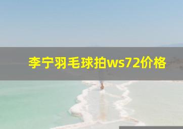 李宁羽毛球拍ws72价格