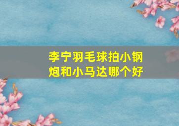 李宁羽毛球拍小钢炮和小马达哪个好