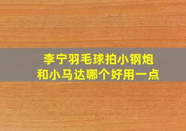 李宁羽毛球拍小钢炮和小马达哪个好用一点