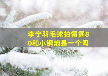 李宁羽毛球拍雷霆80和小钢炮是一个吗