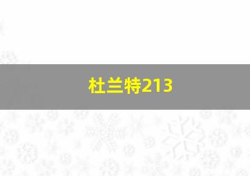 杜兰特213