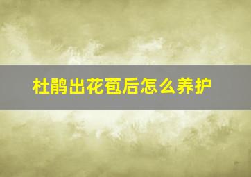 杜鹃出花苞后怎么养护