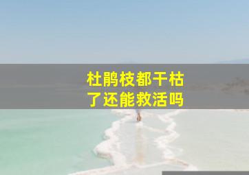 杜鹃枝都干枯了还能救活吗