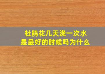 杜鹃花几天浇一次水是最好的时候吗为什么