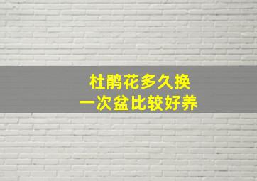 杜鹃花多久换一次盆比较好养