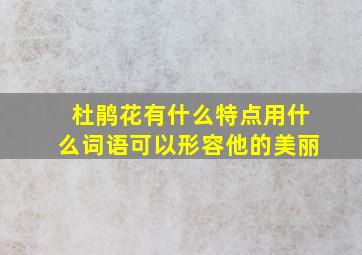 杜鹃花有什么特点用什么词语可以形容他的美丽