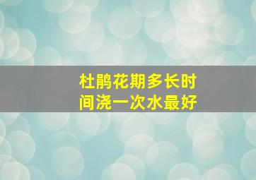 杜鹃花期多长时间浇一次水最好