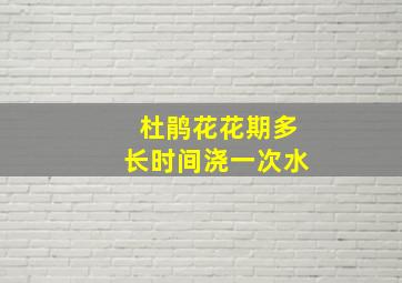 杜鹃花花期多长时间浇一次水