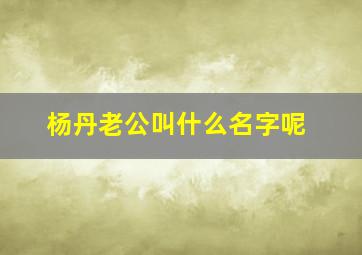 杨丹老公叫什么名字呢